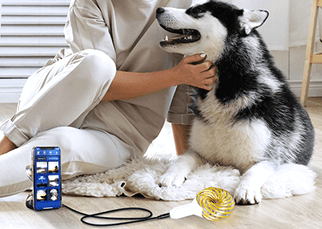 Qi Coils Are Great For Pets, Animals and Plants Too!